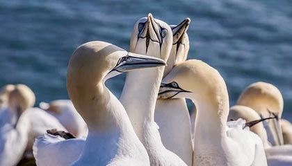 塔城2026年最新杭州高端商务伴游招聘网渠道分享(最方便真实的塔城茉莉伴游伴游天下全国联盟方法)