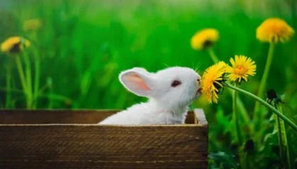 塔城2026年最新杭州高端商务伴游招聘网渠道分享(最方便真实的塔城茉莉伴游伴游天下全国联盟方法)